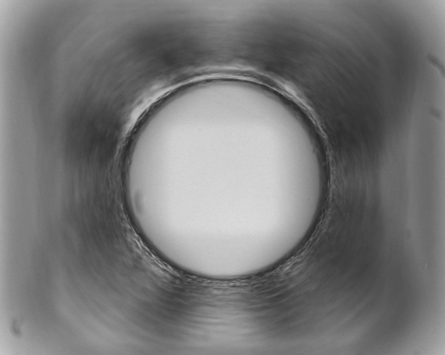 X0000101421360200807071021