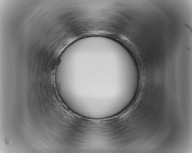 X0000101421361200807071021
