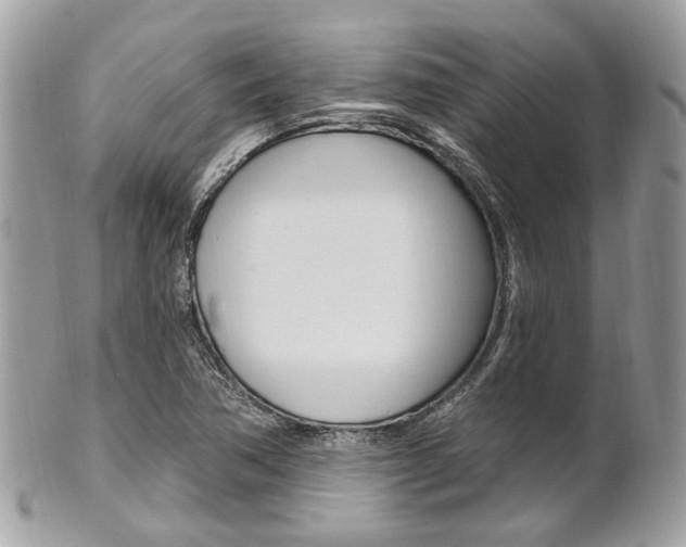 X0000101421362200807071021