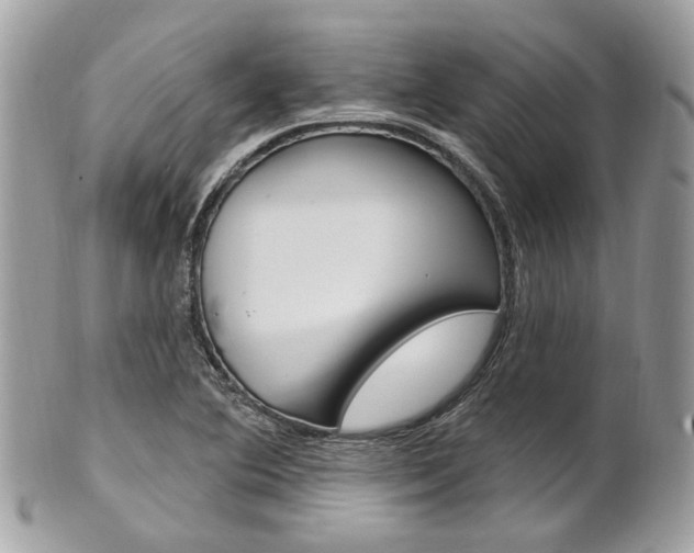 X0000101421364200807071021