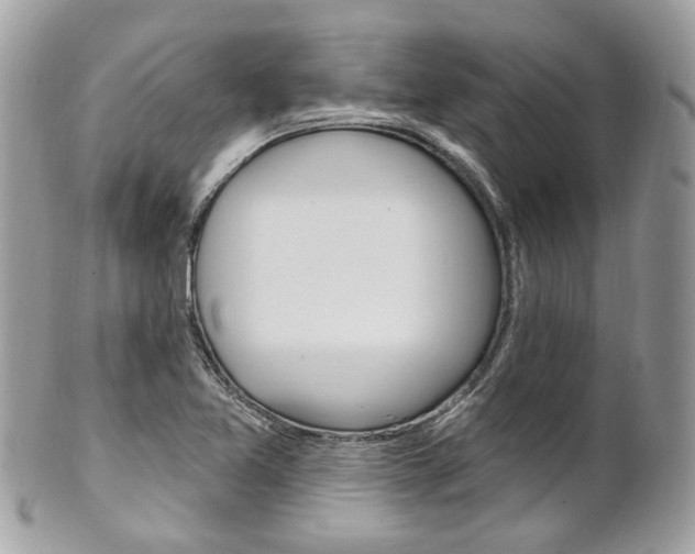 X0000101421365200807071021