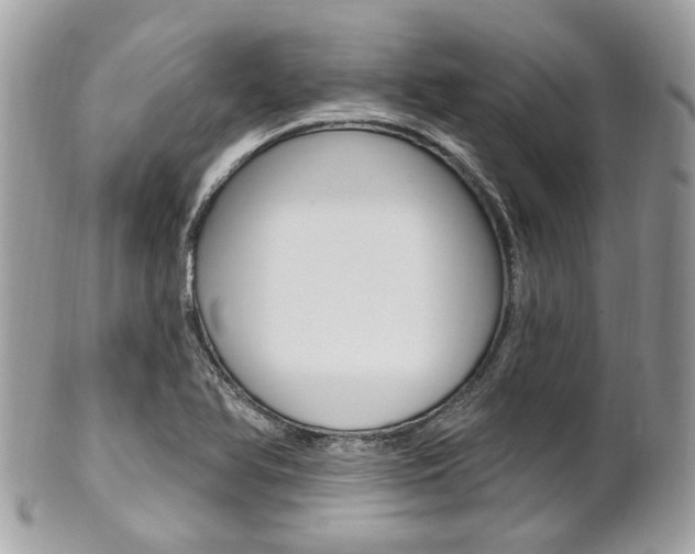 X0000101421366200807071021