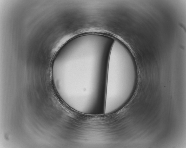 X0000101421367200807071021
