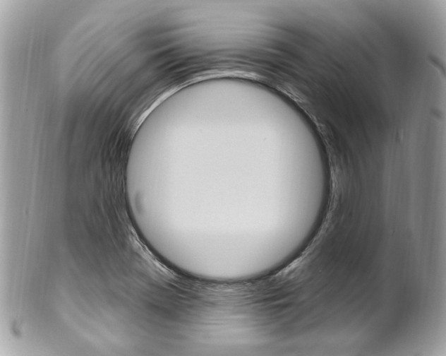 X0000101421369200807071021