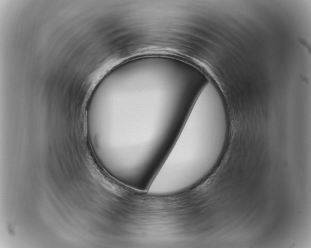 X0000101421371200807071021