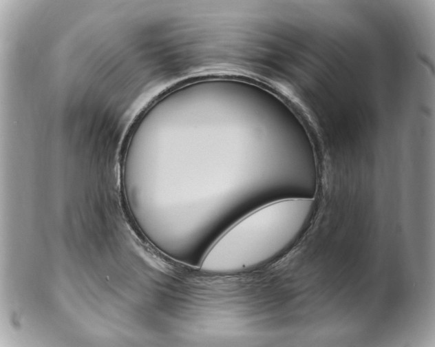 X0000101421372200807071021