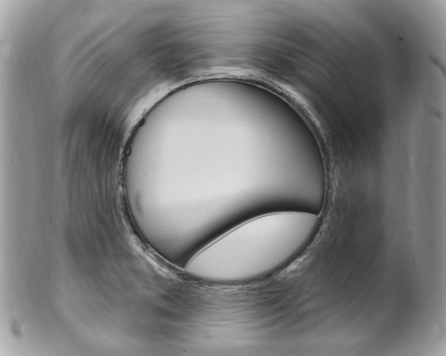 X0000101421373200807071021