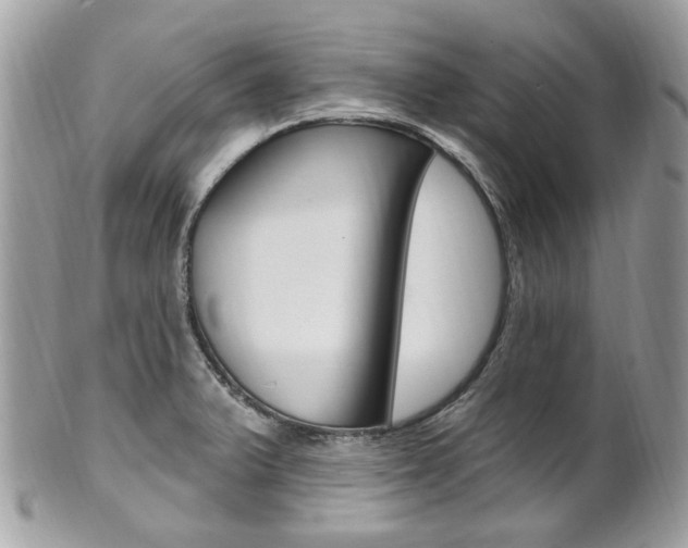 X0000101421375200807071021