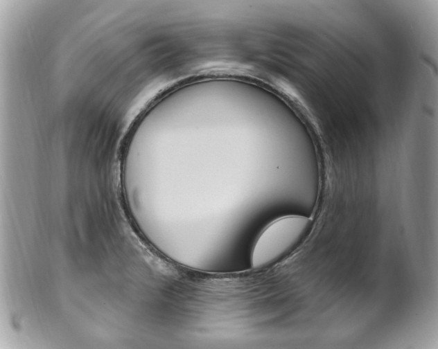 X0000101421376200807071020