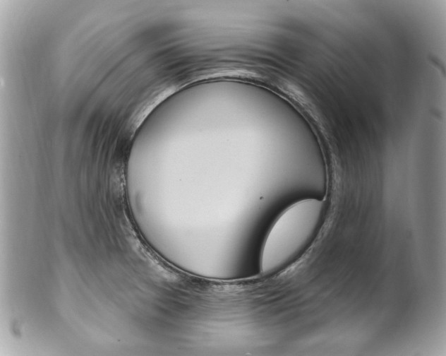 X0000101421377200807071020