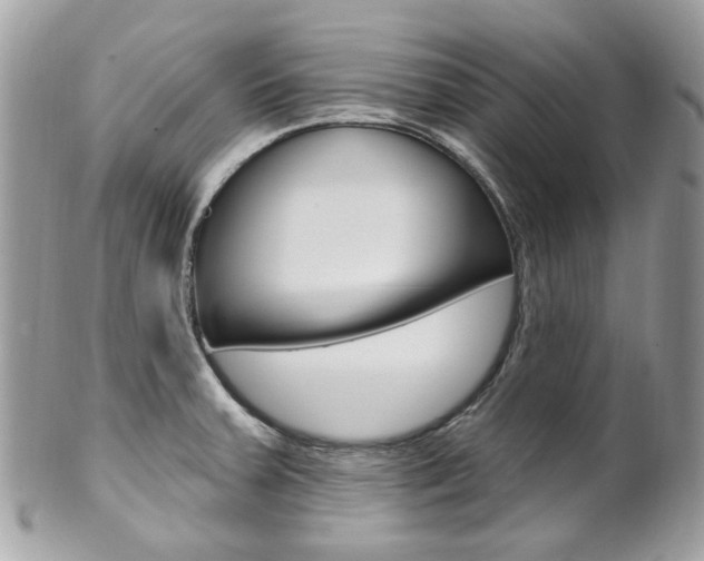 X0000101421379200807071020