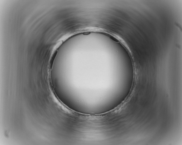 X0000101421381200807071020