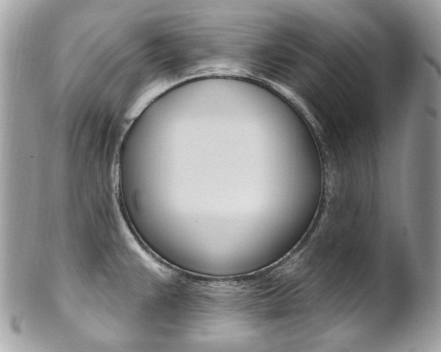 X0000101421383200807071020