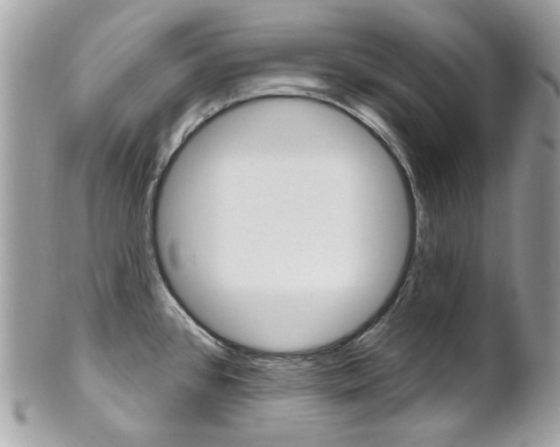 X0000101421384200807071020