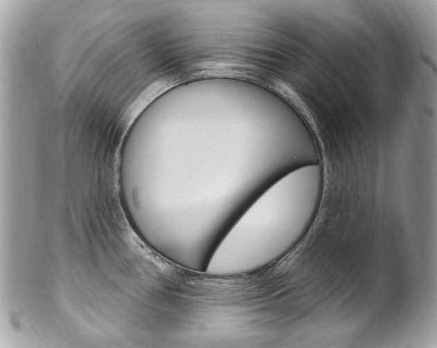 X0000101421386200807071020