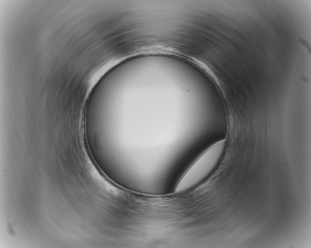 X0000101421387200807071020