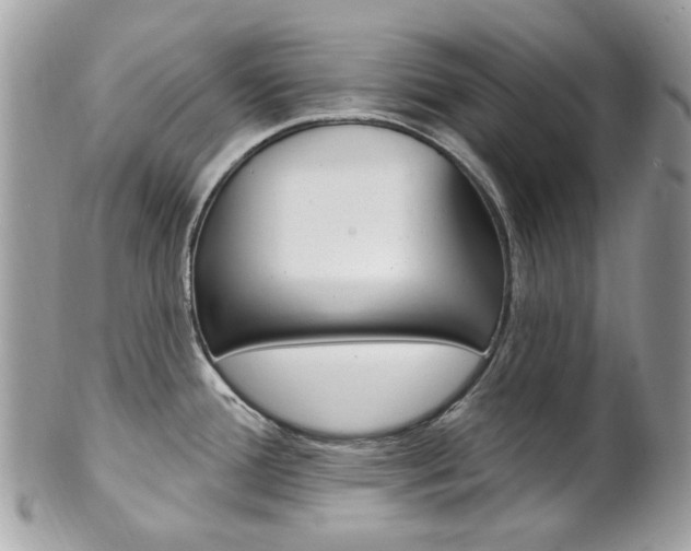 X0000101421388200807071020