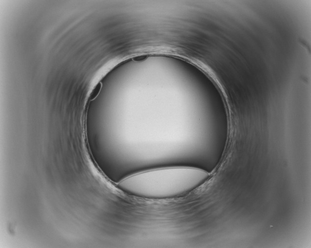 X0000101421389200807071020