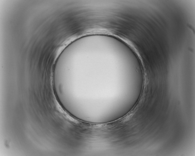 X0000101421390200807071020