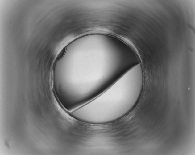 X0000101421391200807071020