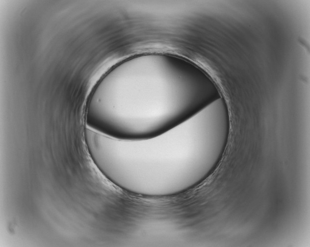 X0000101421392200807071020