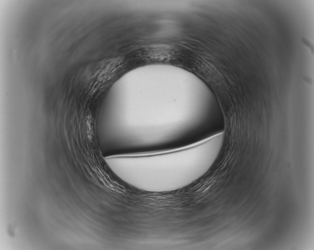 X0000101421394200807071019