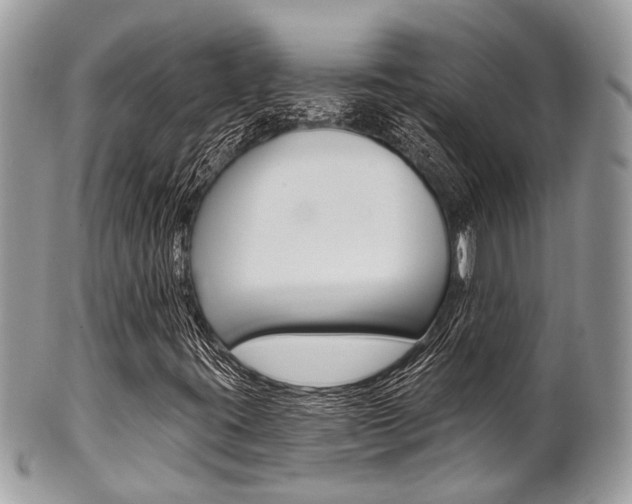 X0000101421395200807071019