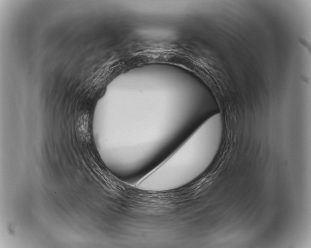 X0000101421396200807071019