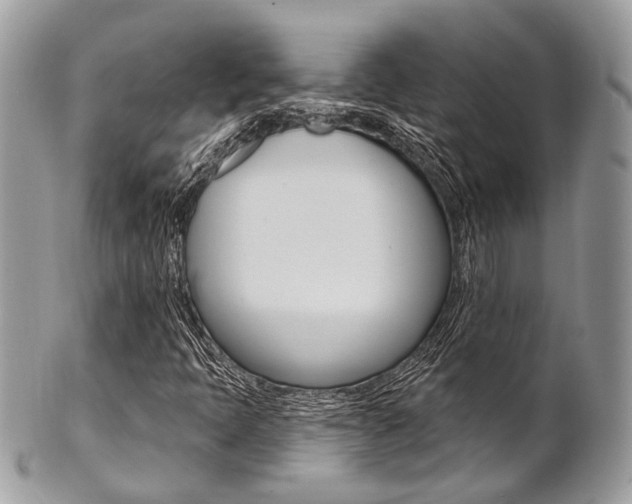 X0000101421397200807071019