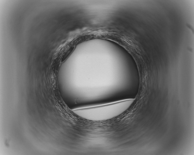 X0000101421398200807071019