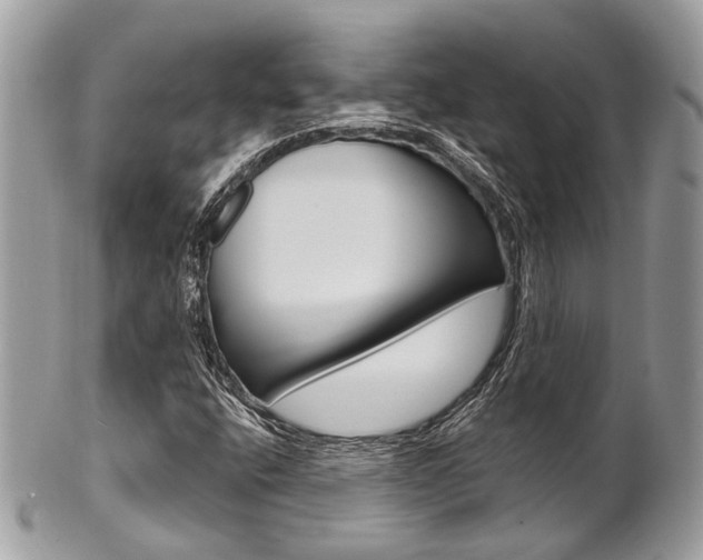 X0000101421400200807071019