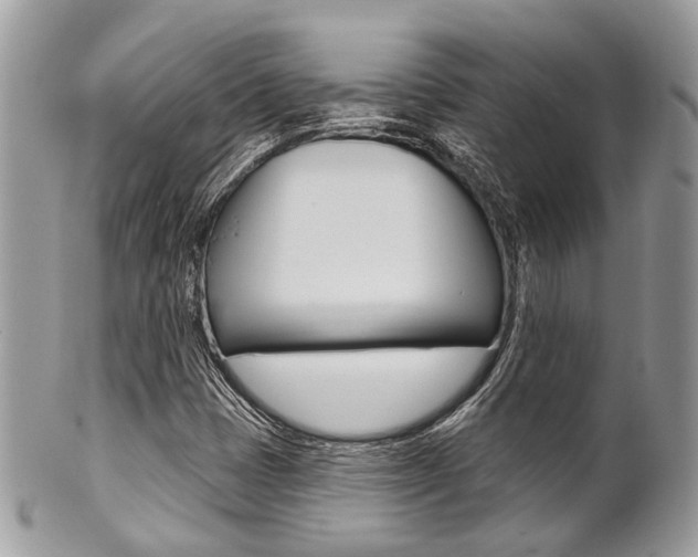 X0000101421401200807071019