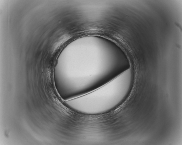 X0000101421402200807071019