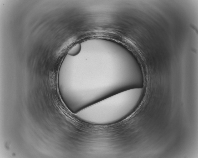 X0000101421403200807071019