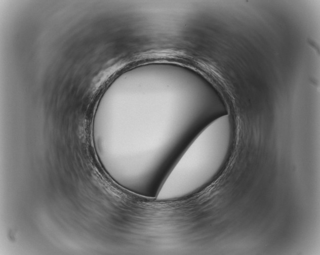 X0000101421404200807071019
