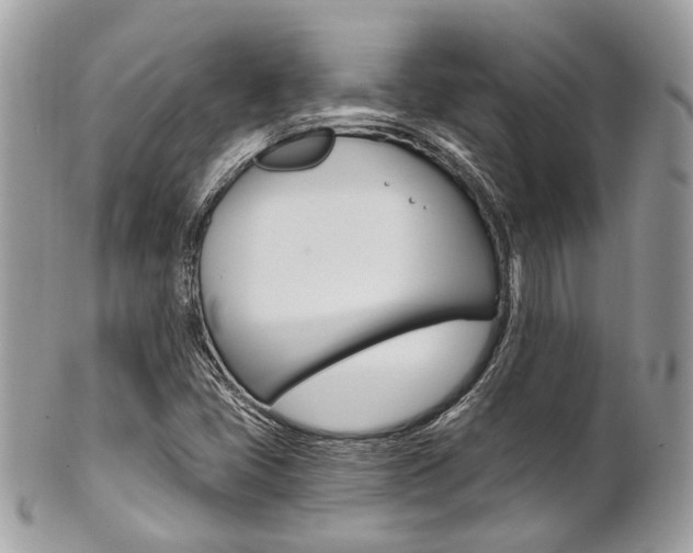 X0000101421405200807071019