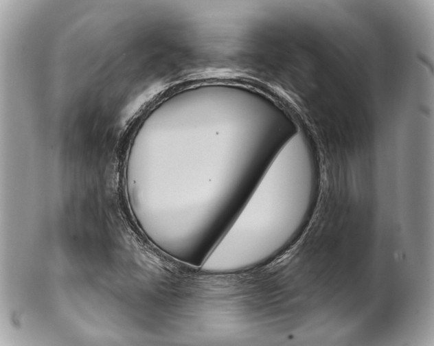 X0000101421406200807071019