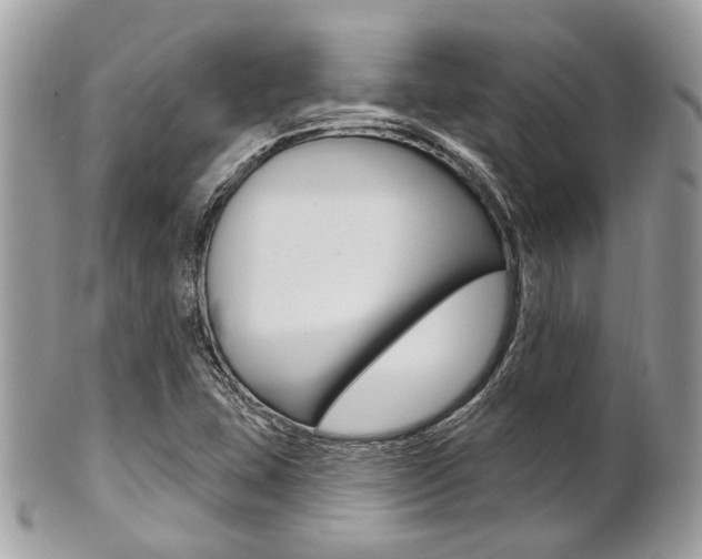 X0000101421407200807071019