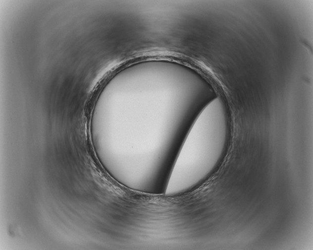 X0000101421408200807071019