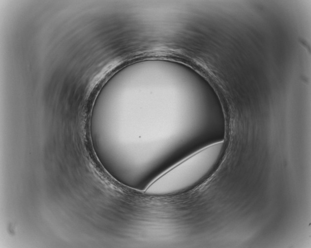 X0000101421410200807071020