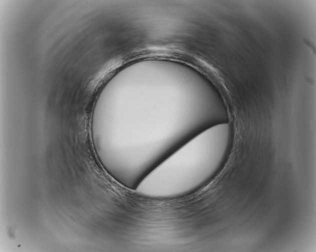X0000101421411200807071020