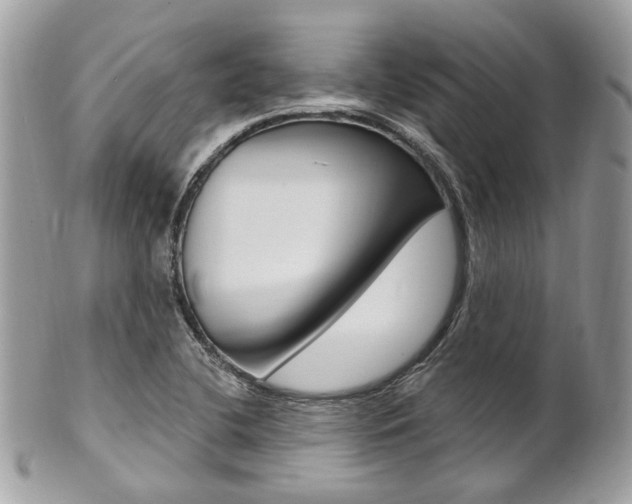 X0000101421412200807071020
