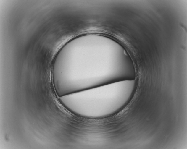 X0000101421413200807071020