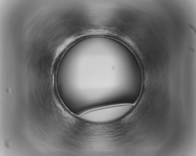 X0000101421414200807071020
