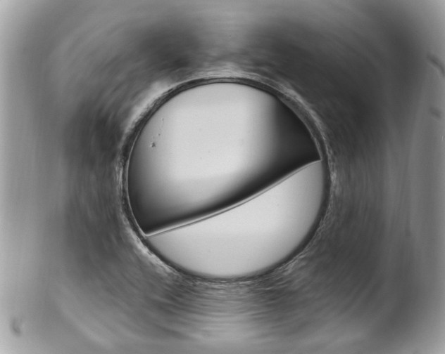 X0000101421416200807071020
