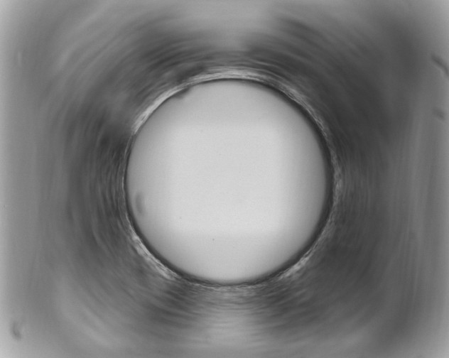 X0000101421417200807071020