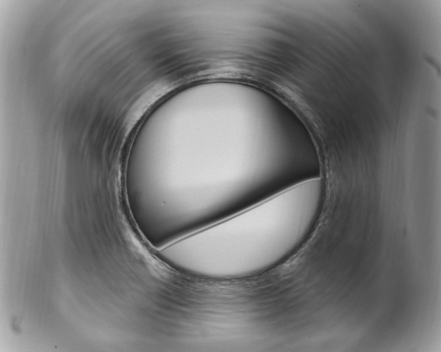 X0000101421418200807071020