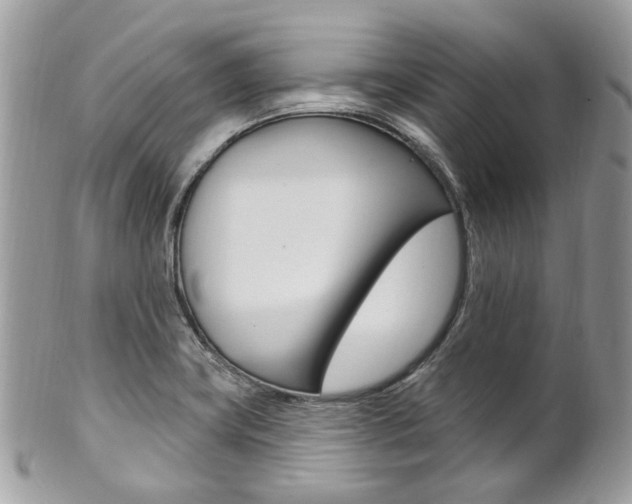 X0000101421419200807071020