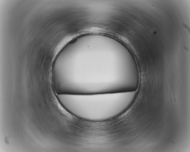 X0000101421421200807071020