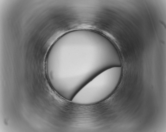 X0000101421423200807071020